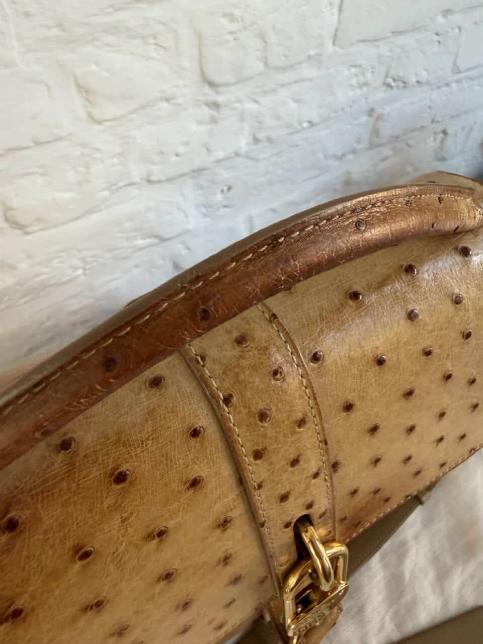 Gin fizz in Autruche - Afbeelding 26