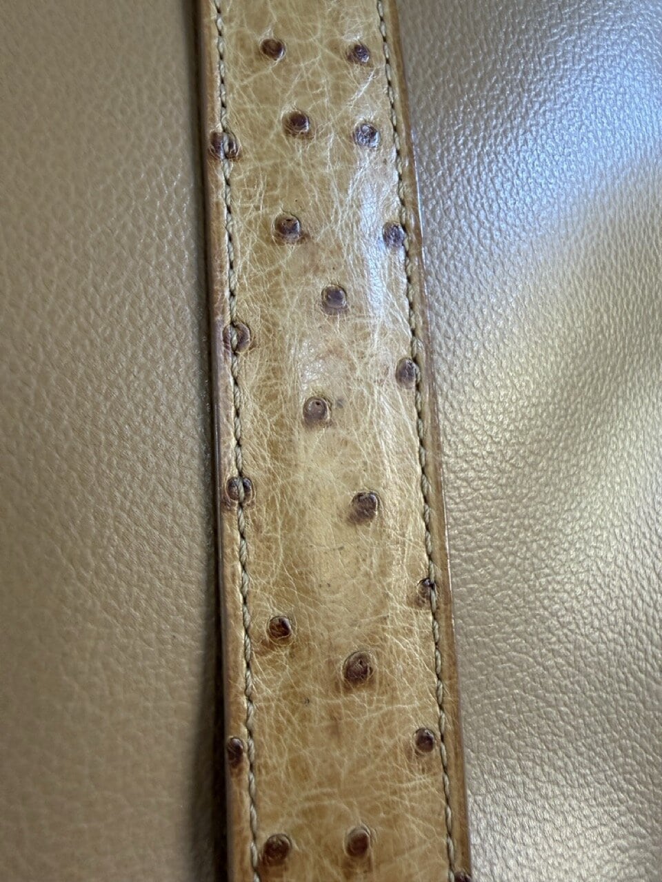 Gin fizz in Autruche - Afbeelding 19