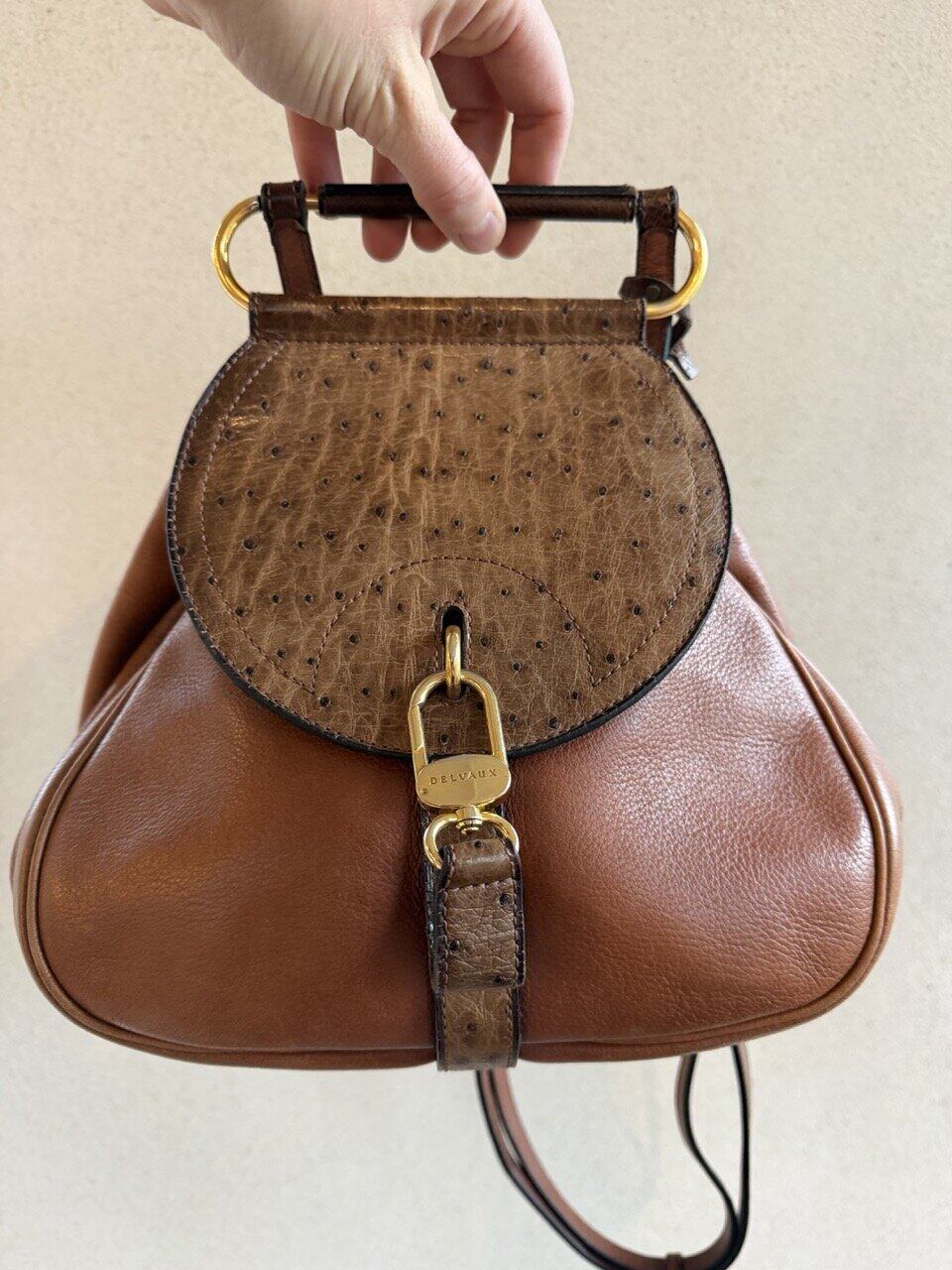 Cerceau PM in Autruche - Afbeelding 17