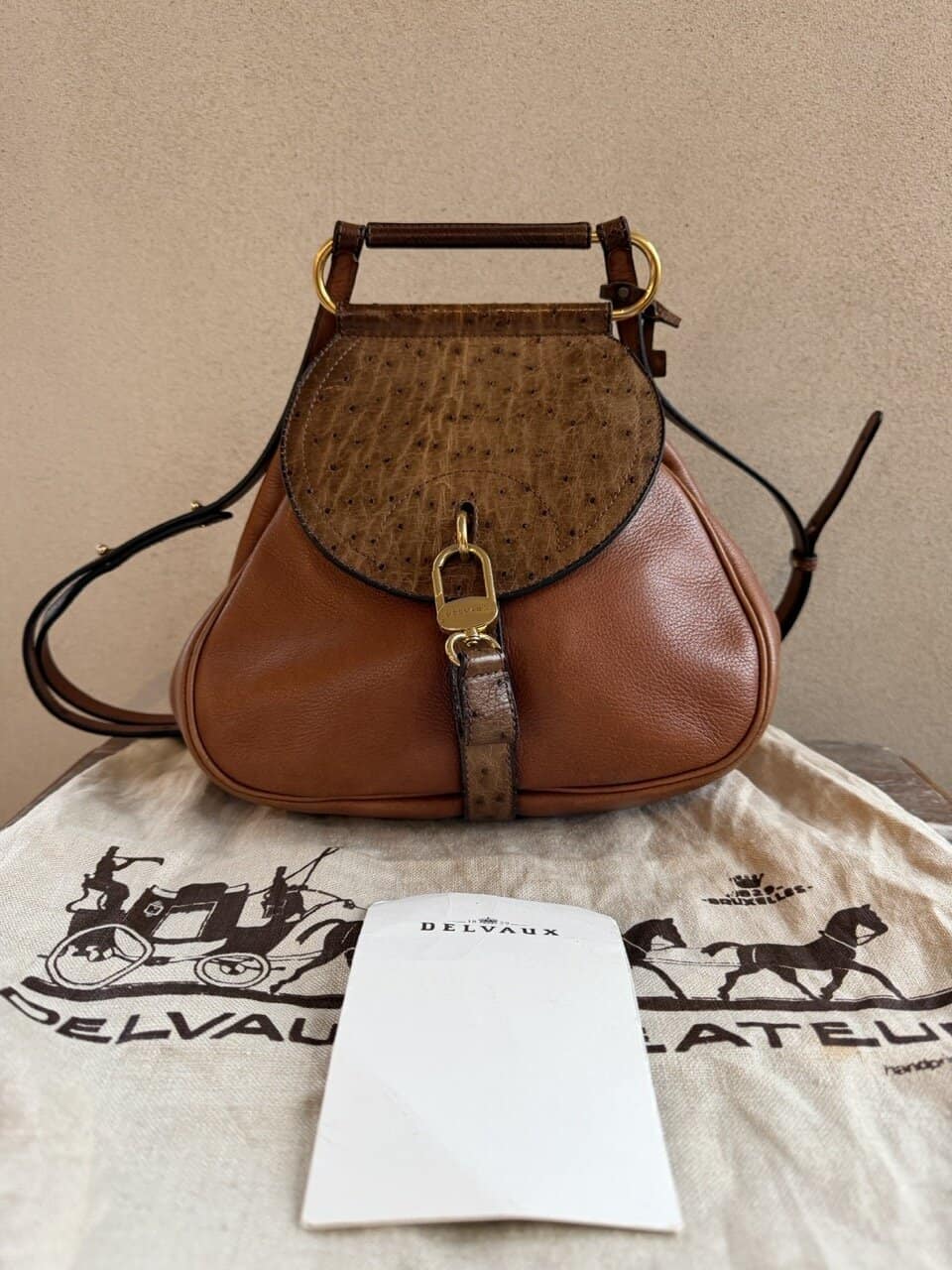 Cerceau PM in Autruche - Afbeelding 2