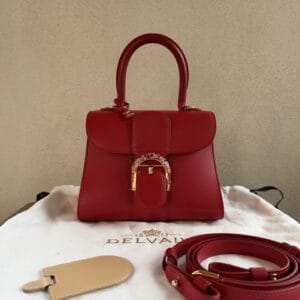 Brillant Mini Box Calf Swarovski