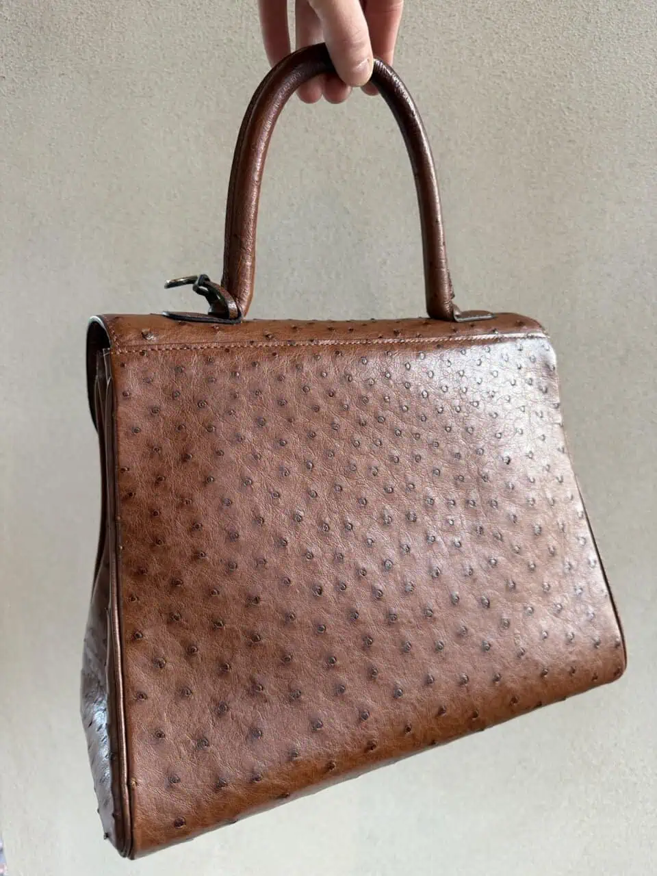 Brillant MM Autruche - Afbeelding 24