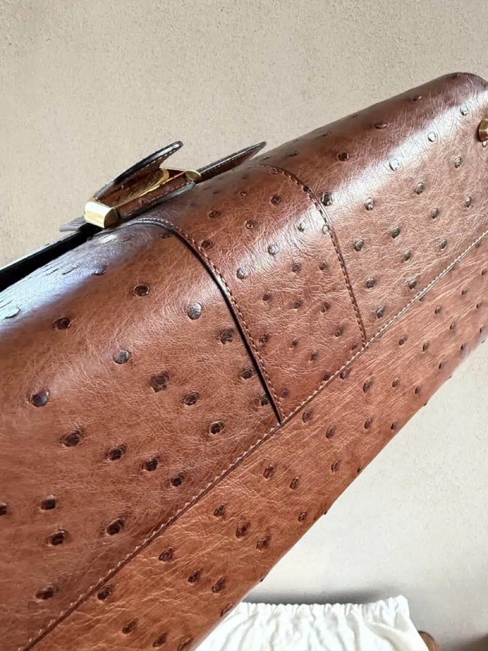 Brillant MM Autruche - Afbeelding 21