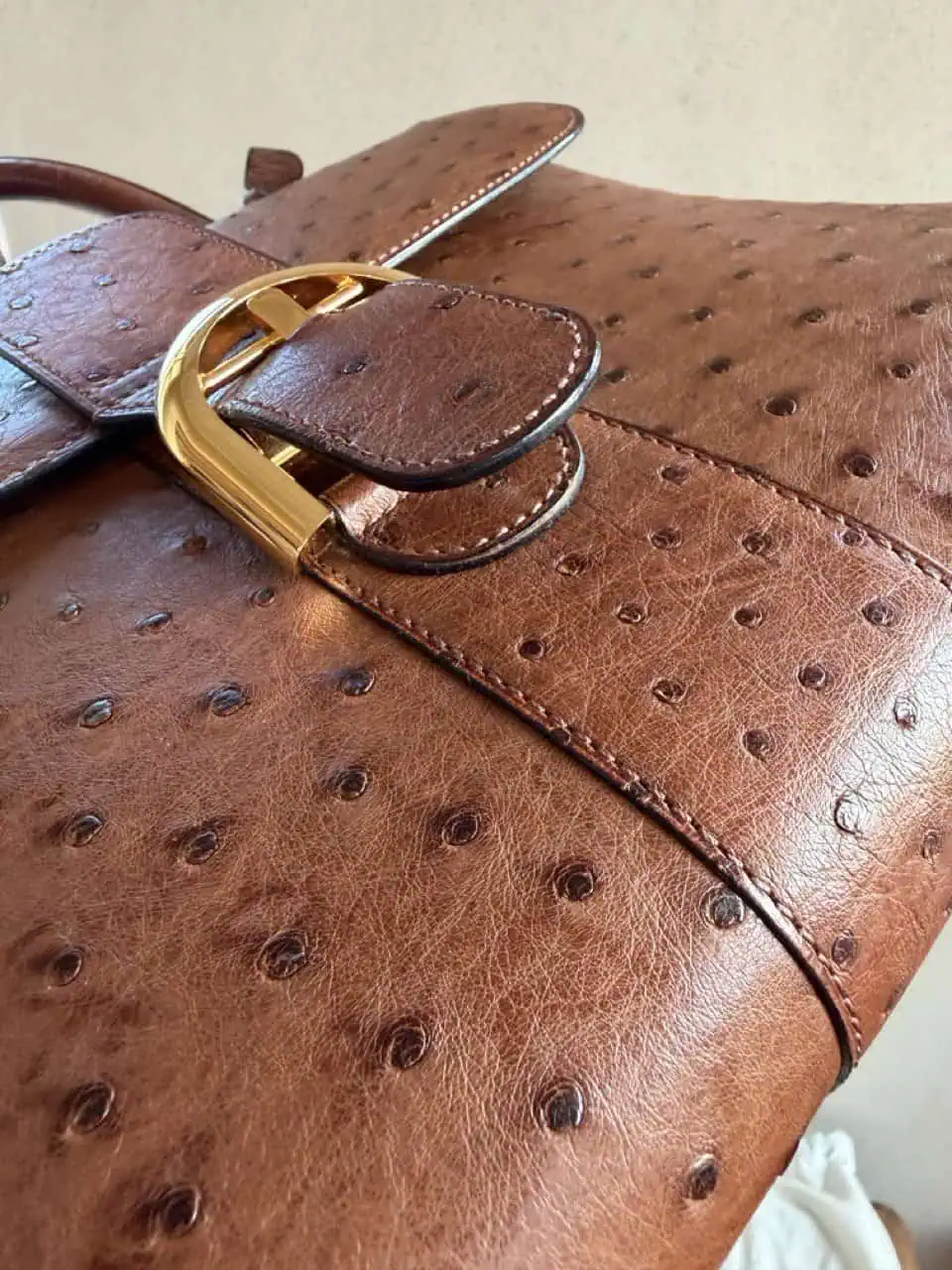 Brillant MM Autruche - Afbeelding 20