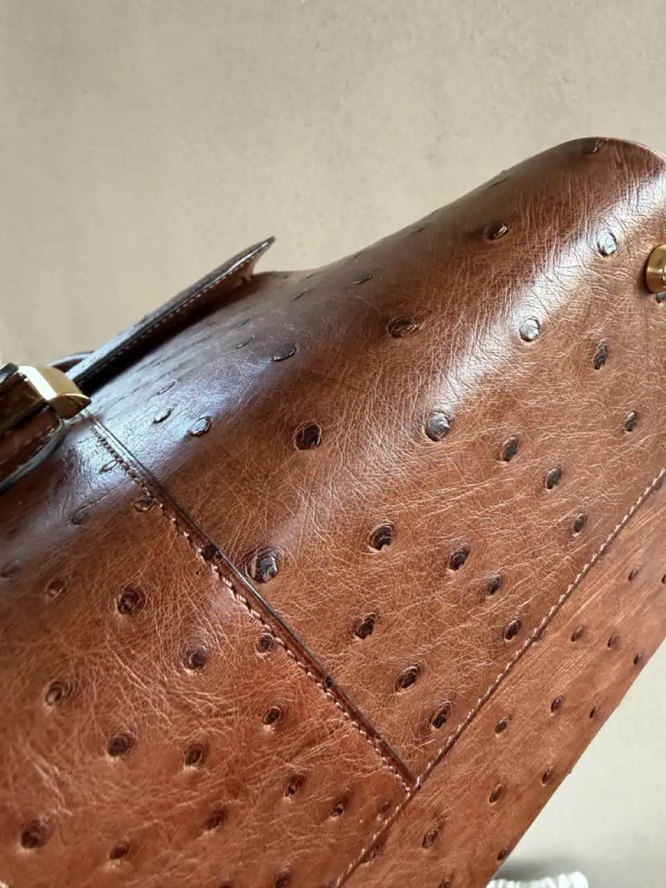 Brillant MM Autruche - Afbeelding 19