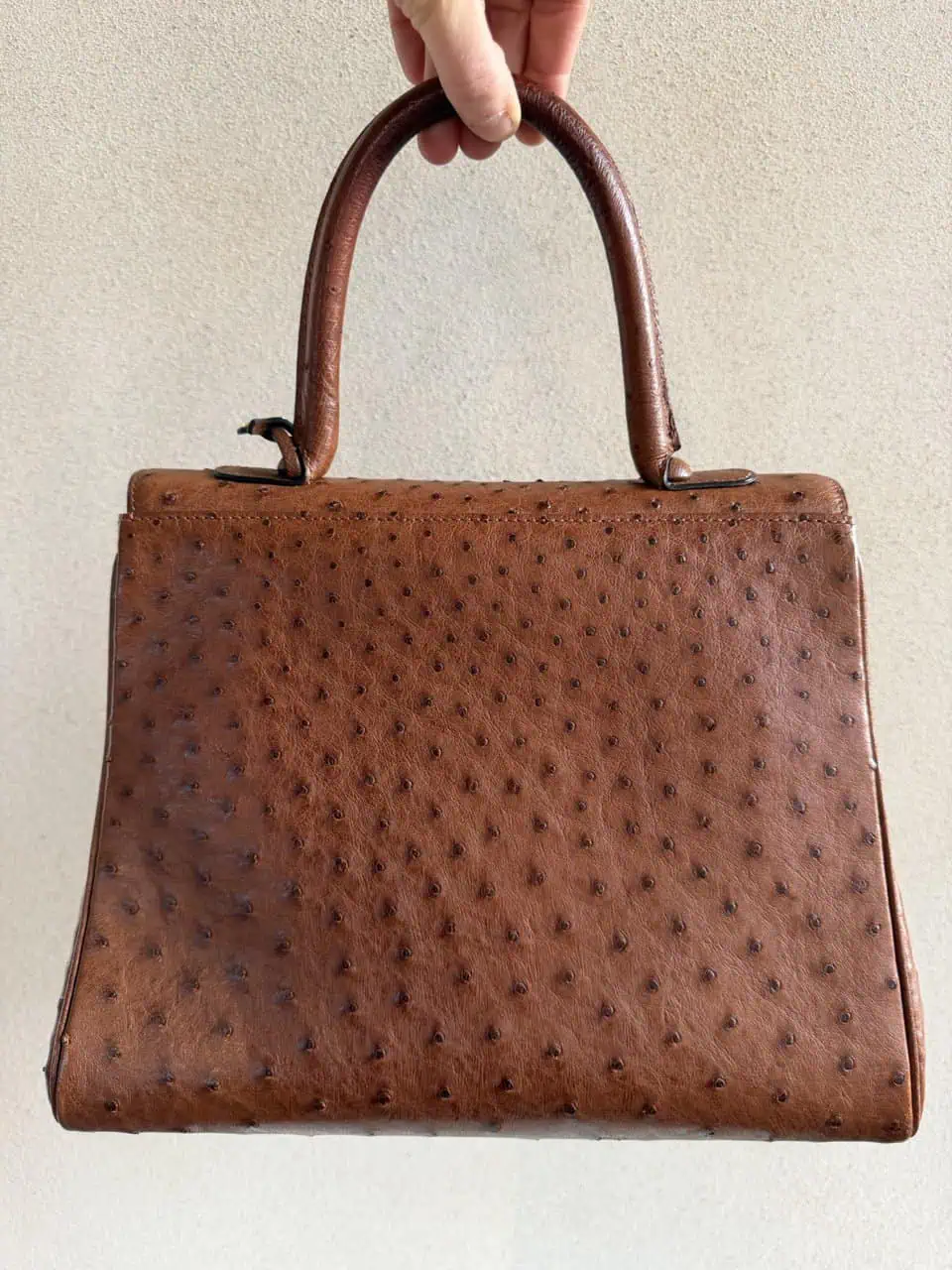 Brillant MM Autruche - Afbeelding 18