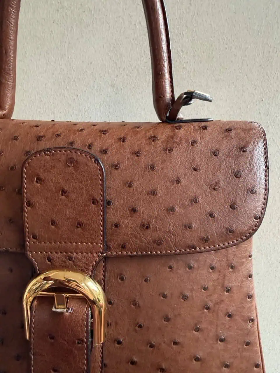 Brillant MM Autruche - Afbeelding 3