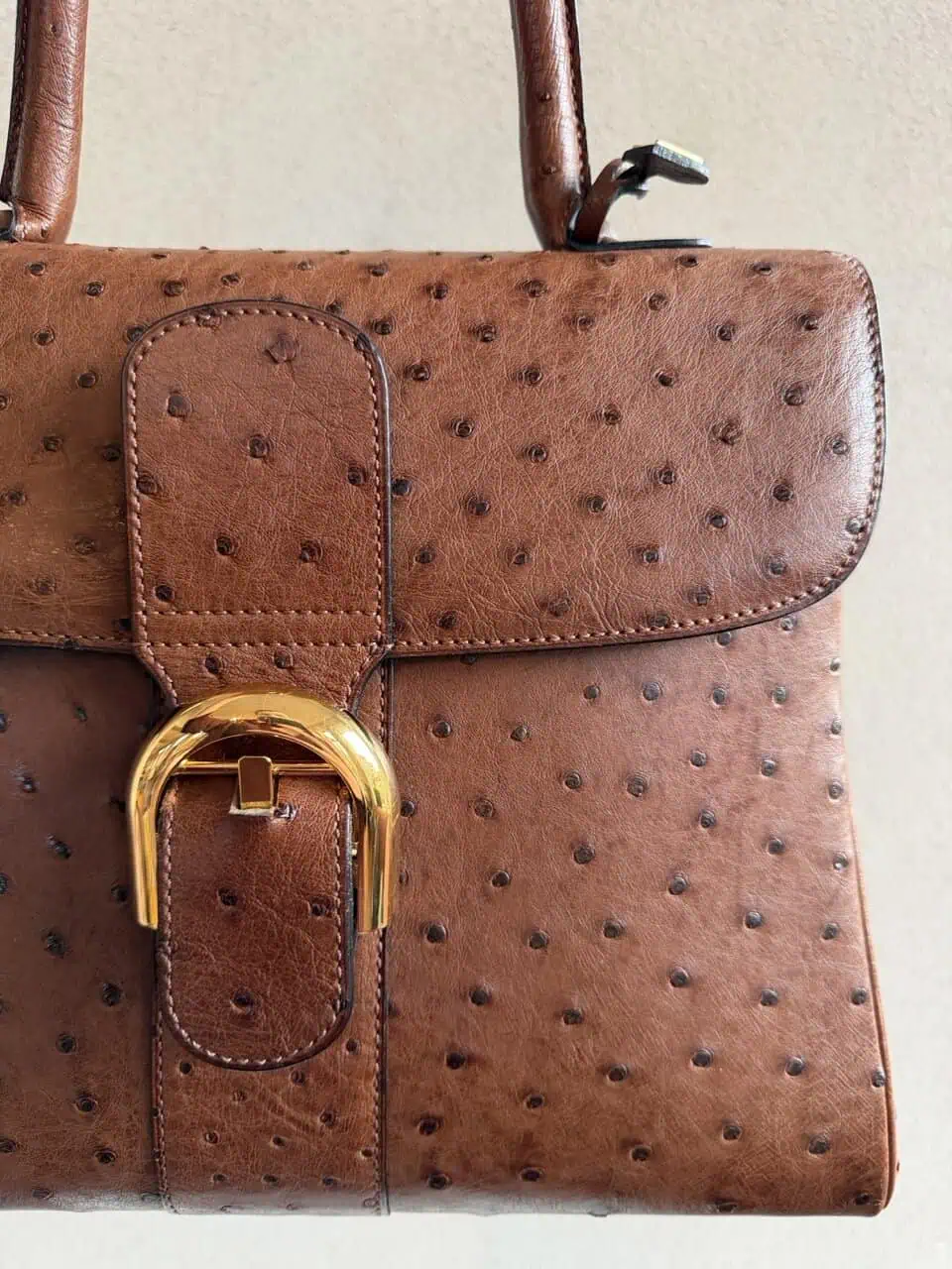 Brillant MM Autruche - Afbeelding 6