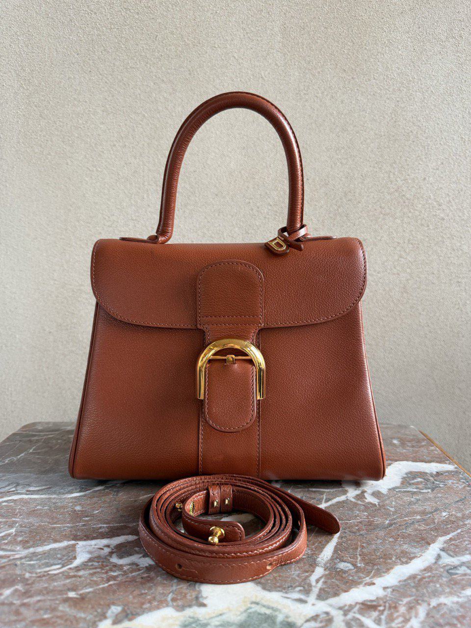 Brillant PM Jumping Alézan - Afbeelding 5