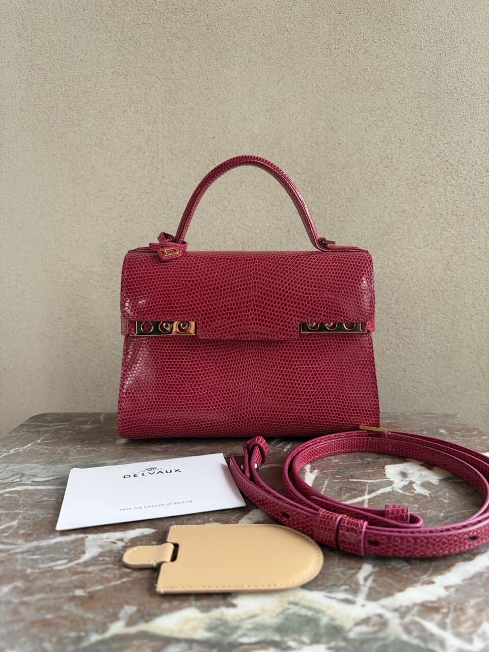 Tempête Mini Lézard Framboise - Afbeelding 30