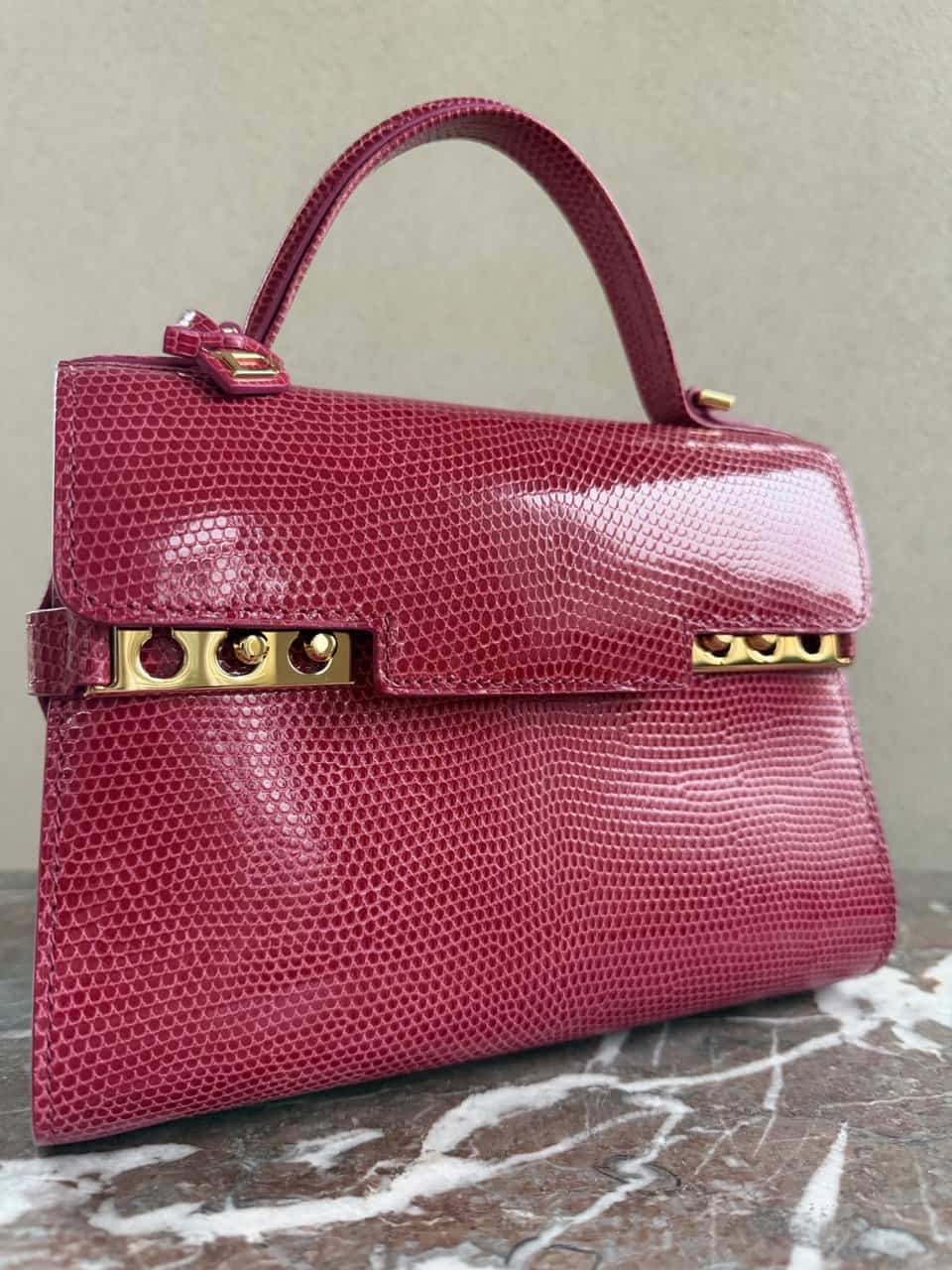 Tempête Mini Lézard Framboise - Afbeelding 28