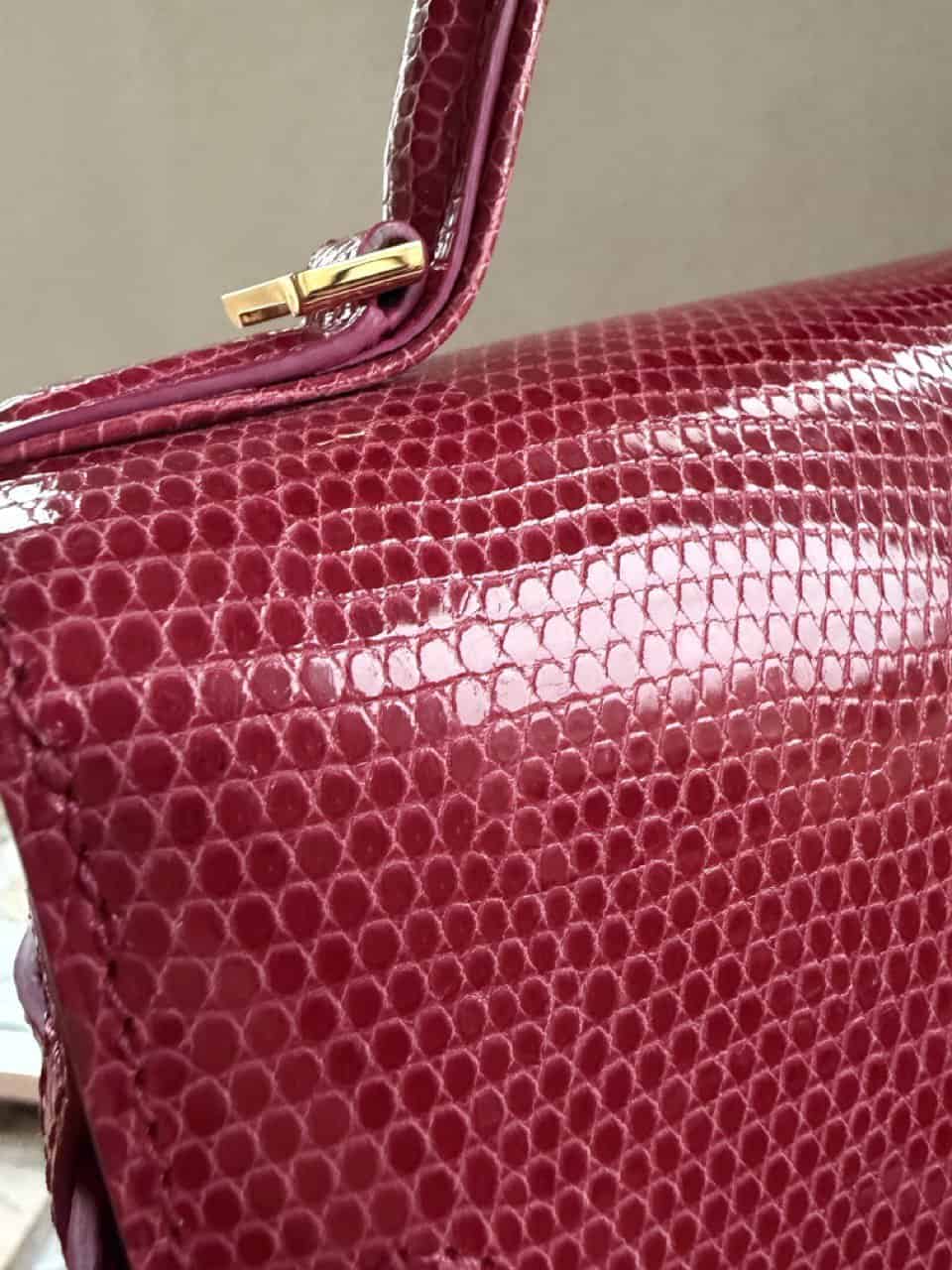 Tempête Mini Lézard Framboise - Afbeelding 22