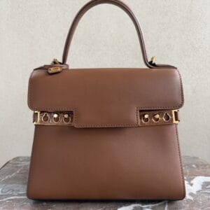 Tempête PM Tan Porosus Crocodile