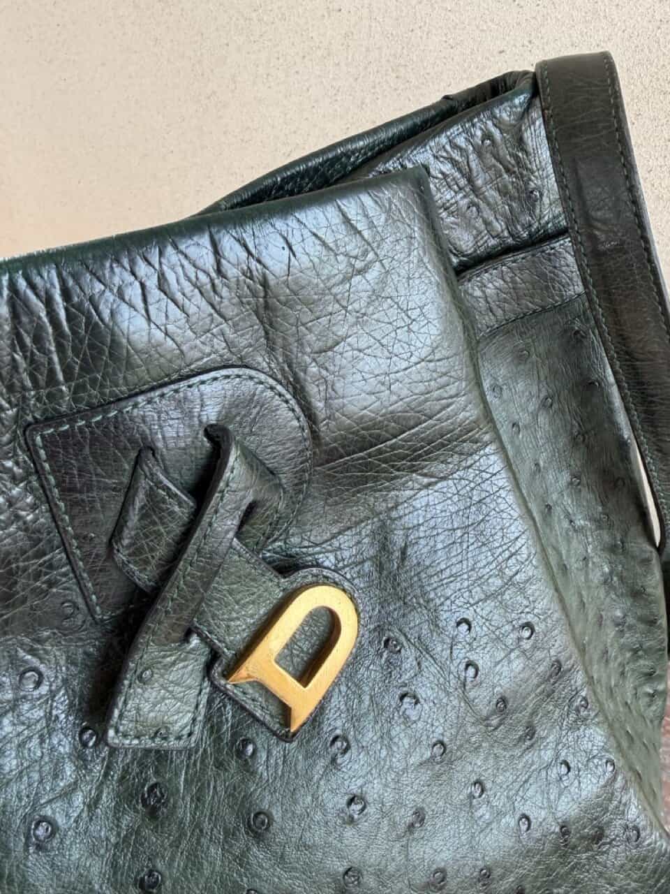 Veiling: Bannière Forest Autruche - Afbeelding 45