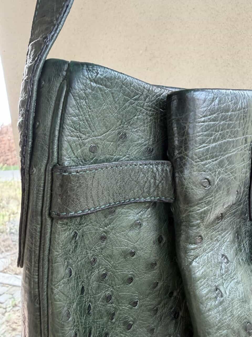 Veiling: Bannière Forest Autruche - Afbeelding 41