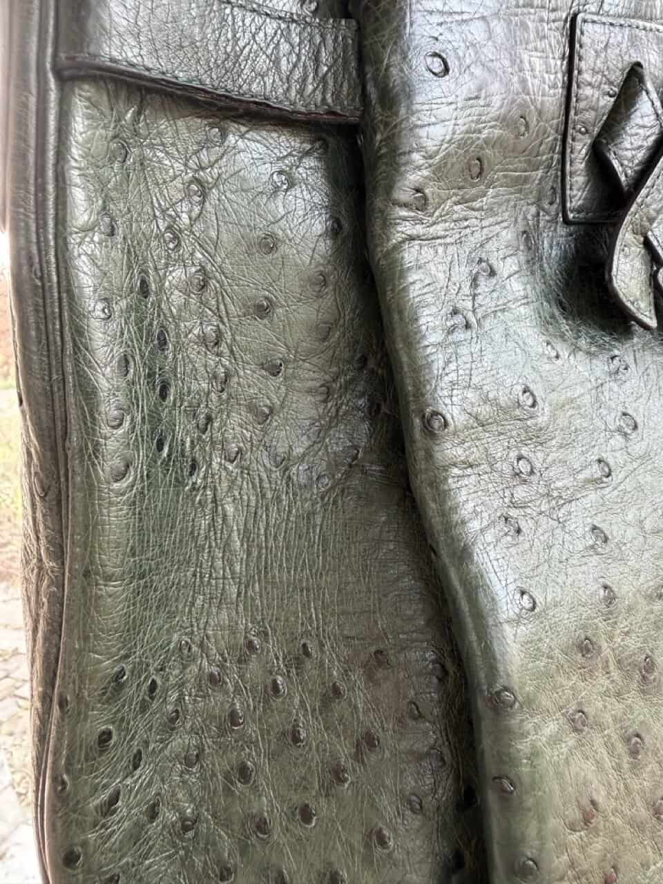 Veiling: Bannière Forest Autruche - Afbeelding 40