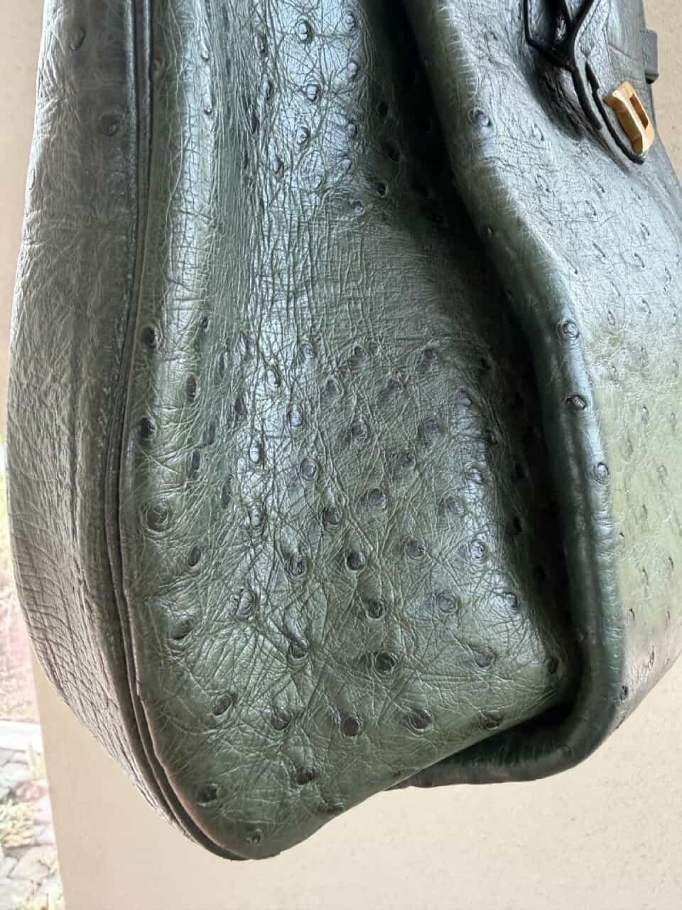 Veiling: Bannière Forest Autruche - Afbeelding 39