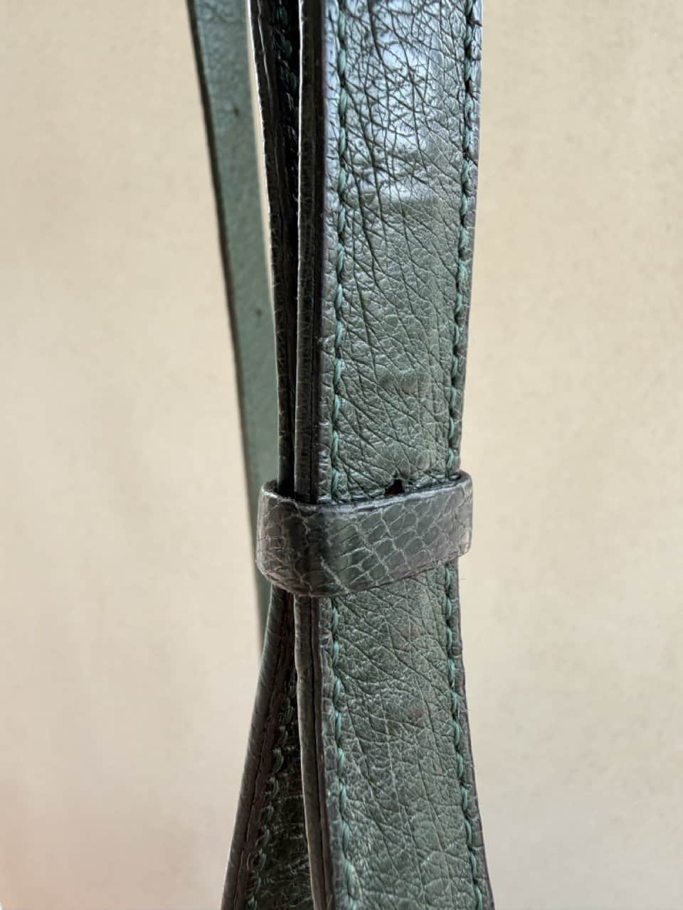 Veiling: Bannière Forest Autruche - Afbeelding 37