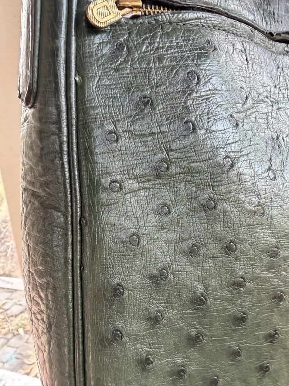 Veiling: Bannière Forest Autruche - Afbeelding 32