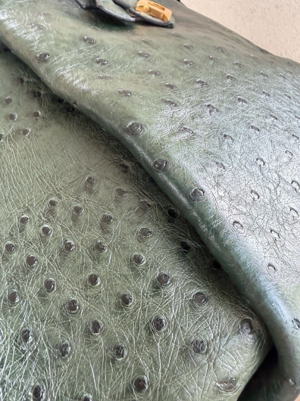 Veiling: Bannière Forest Autruche - Afbeelding 27