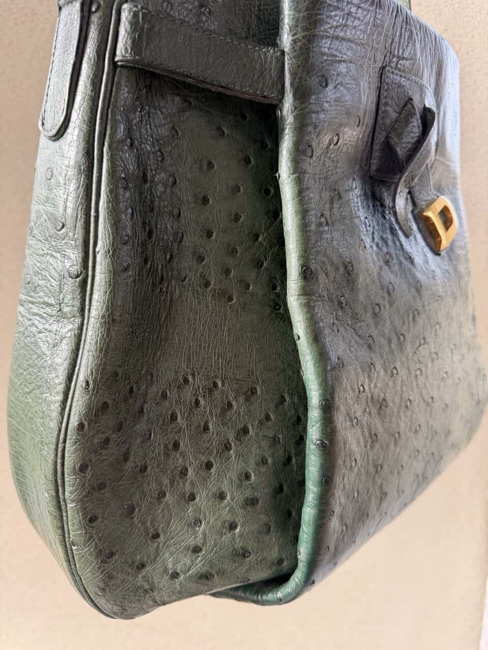 Veiling: Bannière Forest Autruche - Afbeelding 17