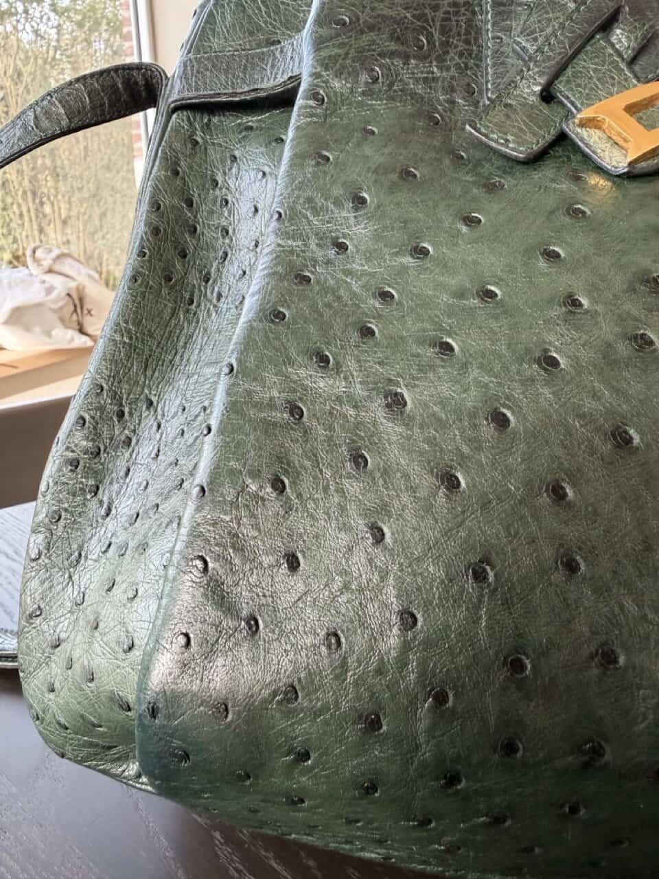 Veiling: Bannière Forest Autruche - Afbeelding 5