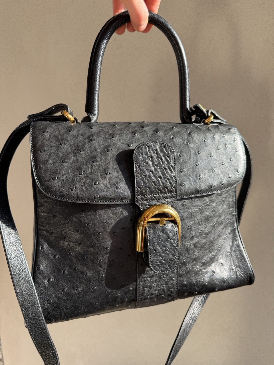 Brillant MM Autruche Noir - Afbeelding 18