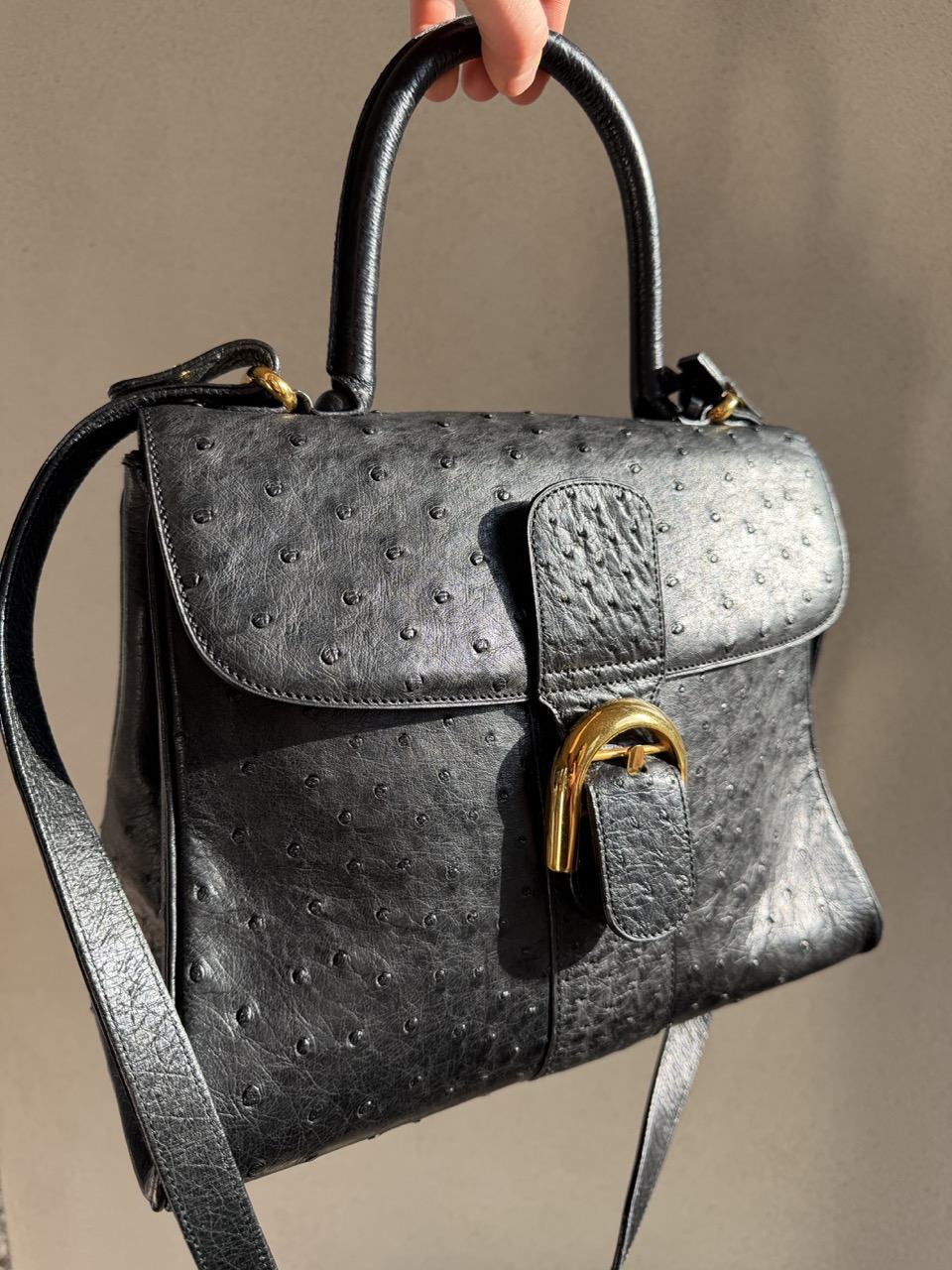 Brillant MM Autruche Noir - Afbeelding 17