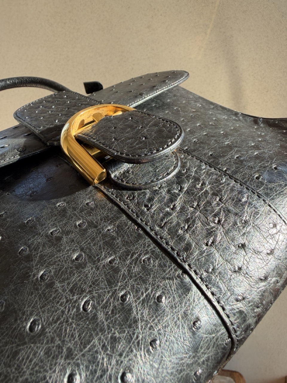 Brillant MM Autruche Noir - Afbeelding 12