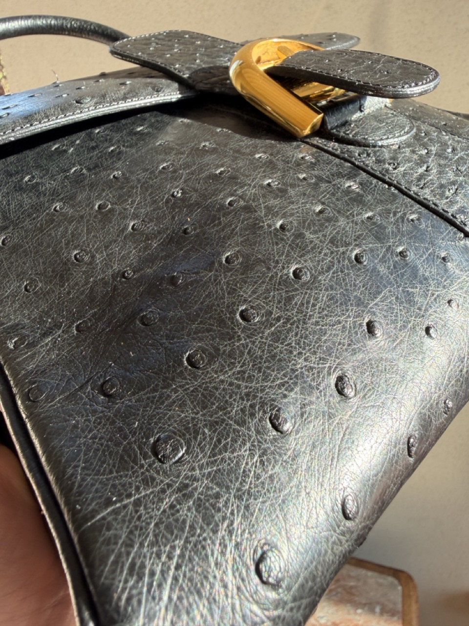 Brillant MM Autruche Noir - Afbeelding 8