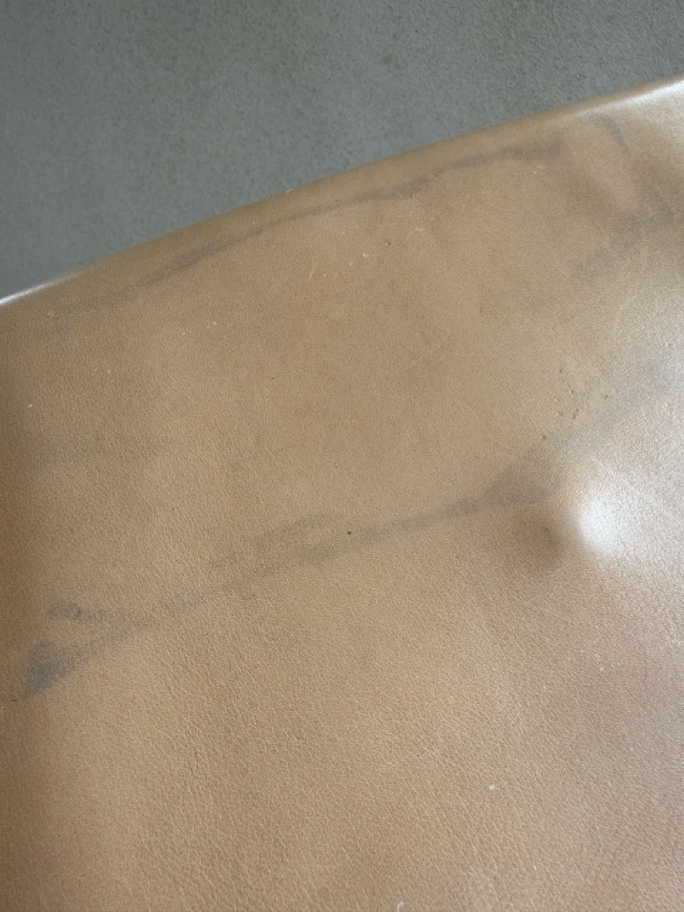 Veiling: Camel Clutch - Afbeelding 14