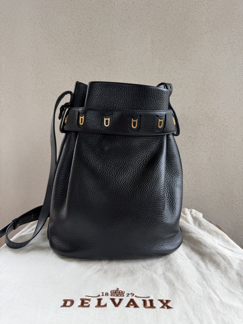 Calicot Jumping Marine