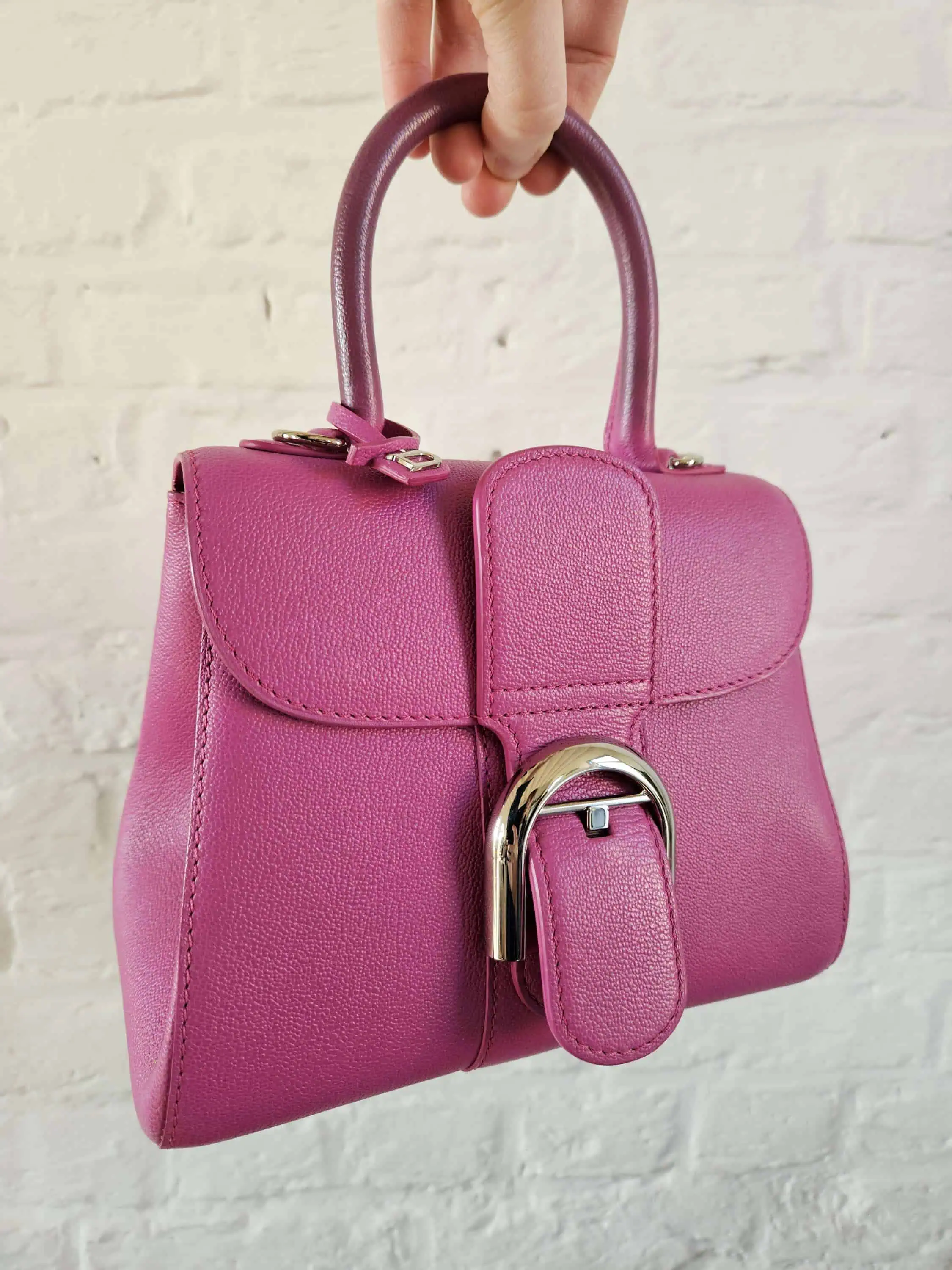 Brillant Mini héliotrope rodeo calf