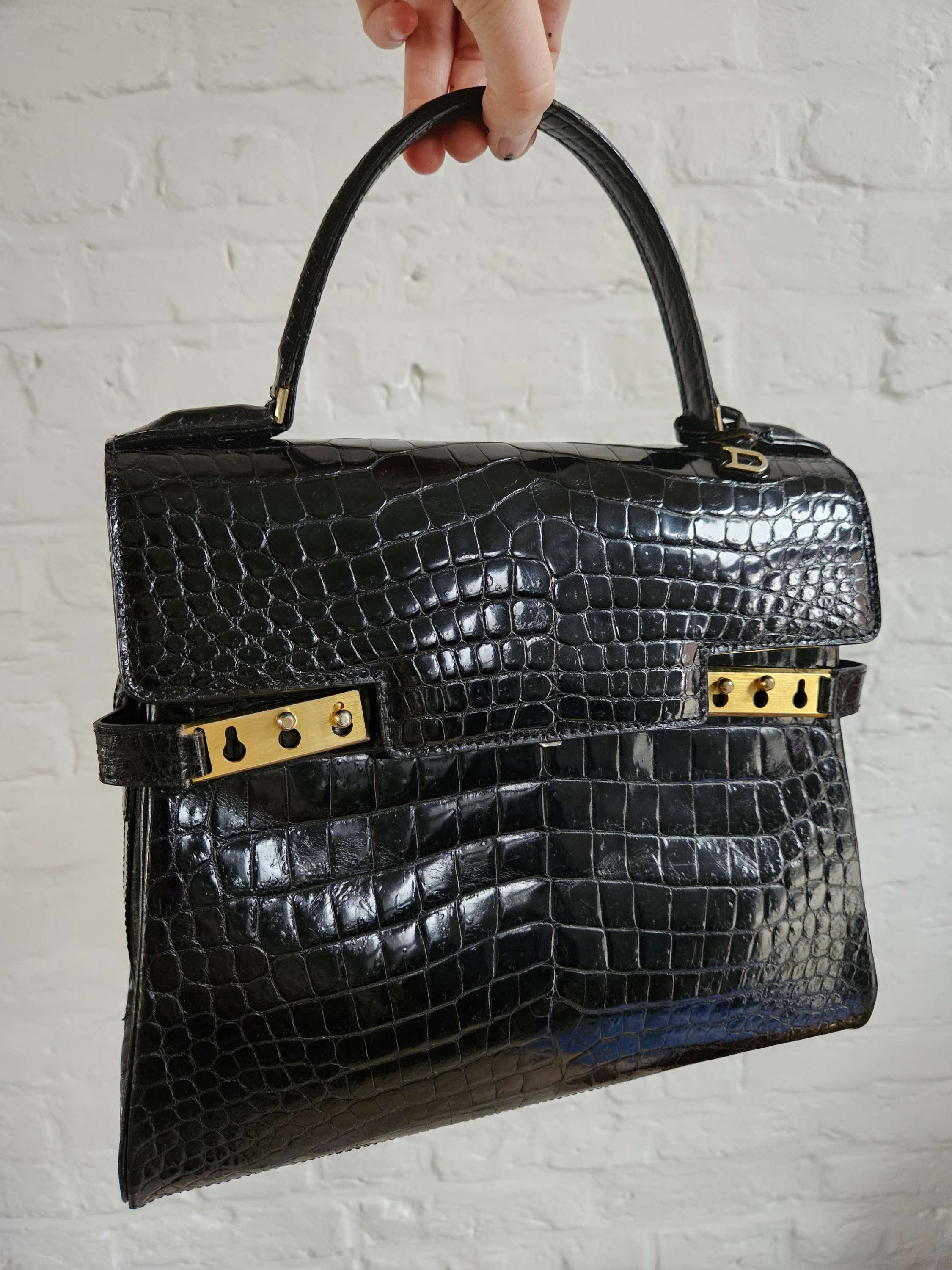 Tempête MM in alligator