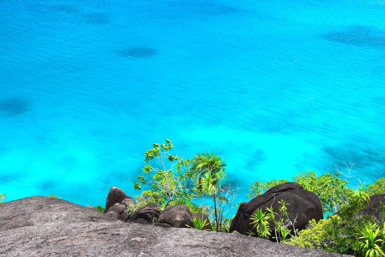 Caribbean turquoise shoreline