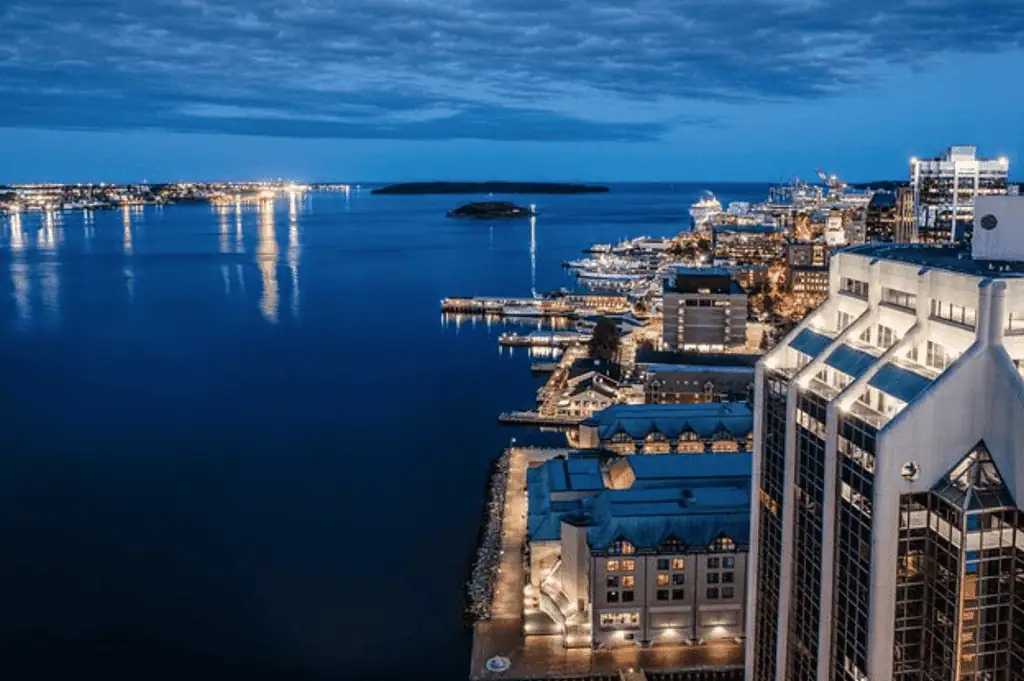 Nova Scotia boat tour under the moonlight