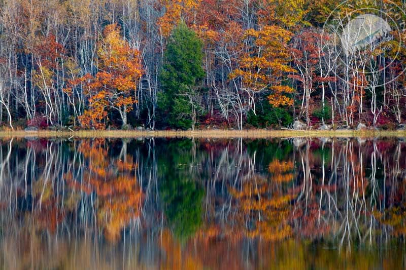 Essential info for your Nova Scotia glamping dome vacation 2023