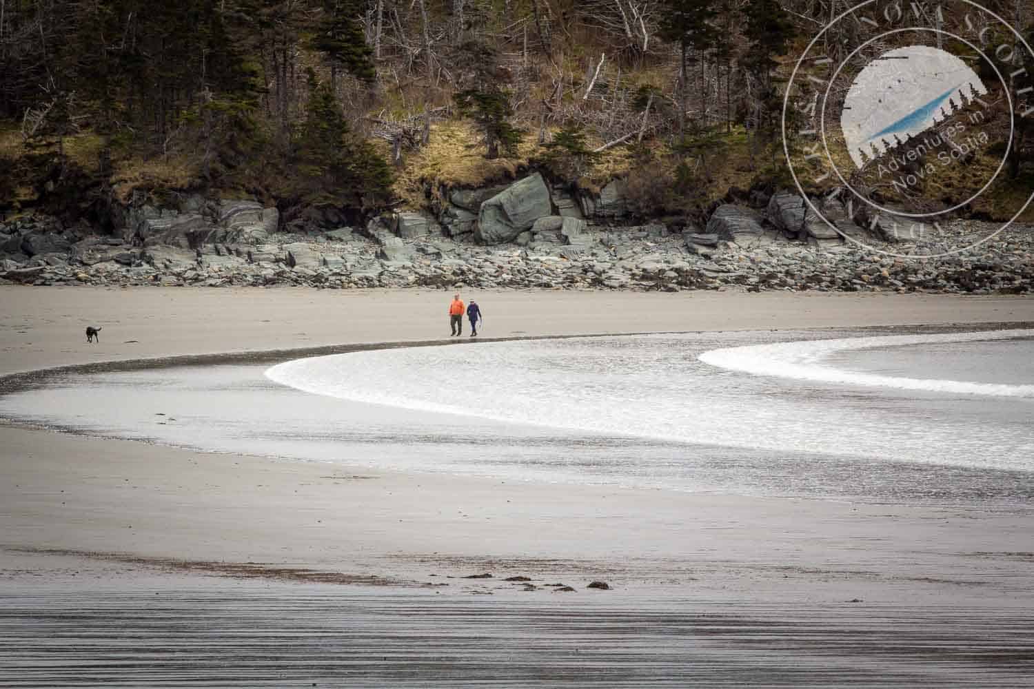 Best places for forest bathing in Nova Scotia