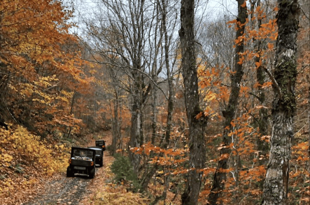 best tours in Cape Breton - UTVs to Cape Clear
