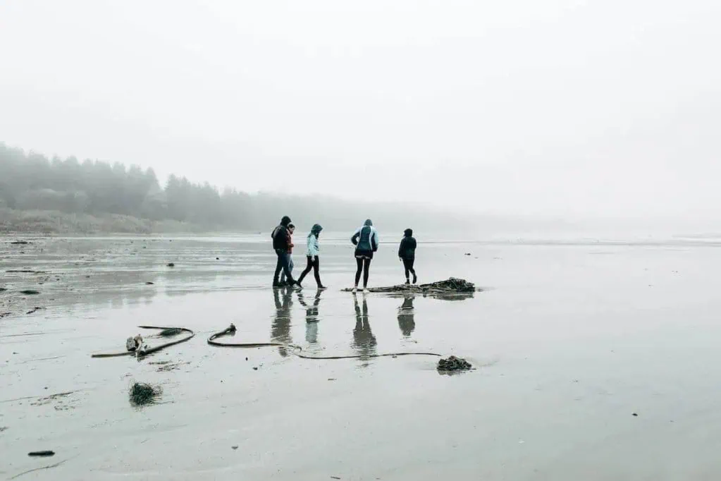 Seaside group walking on foggy beach with driftwood and ocean in the background, exploring Atlantic destinations with coastal scenery and outdoor activities.