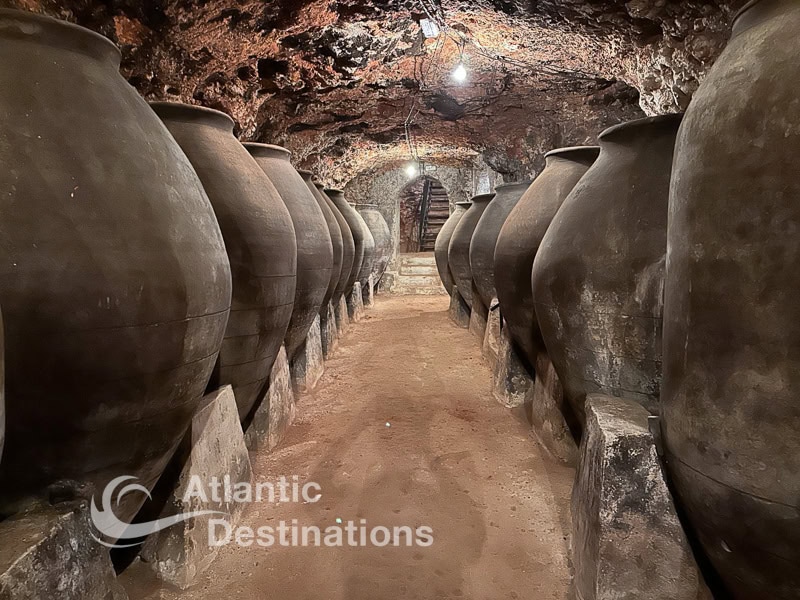 3 days in Madrid - winery tour