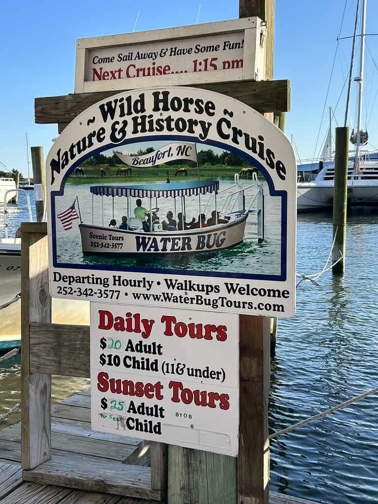 Crystal Coast boat tour to see wild horses