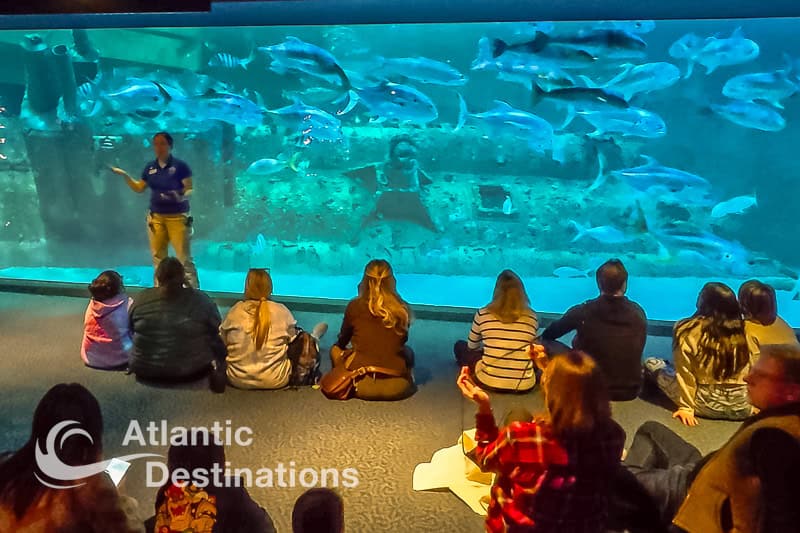 Crystal Coast - NC Aquarium at Pine Knoll Shores
