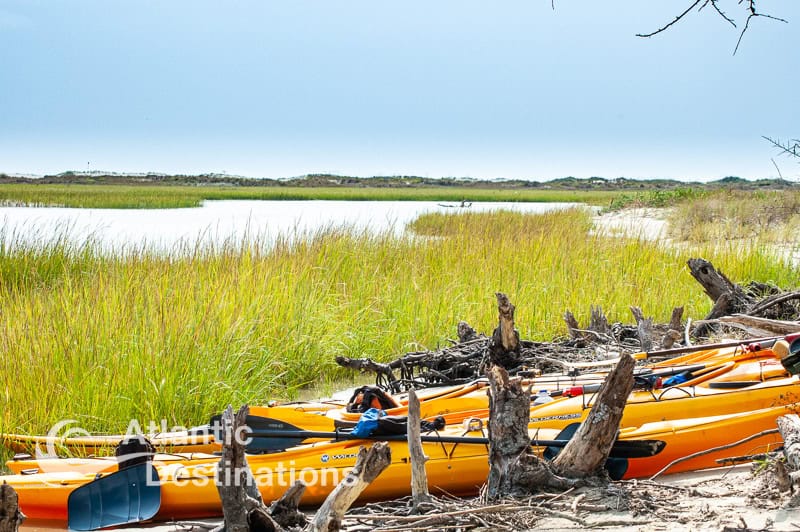 Crystal Coast ecotours - kayaks pulled up on the shore
