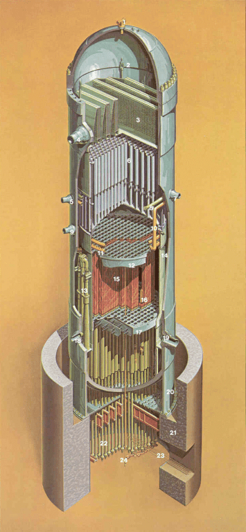 BWR-6 Reactor Assembly