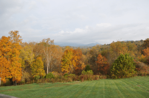 Fall colors below mountains