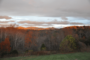 Early morning highlights