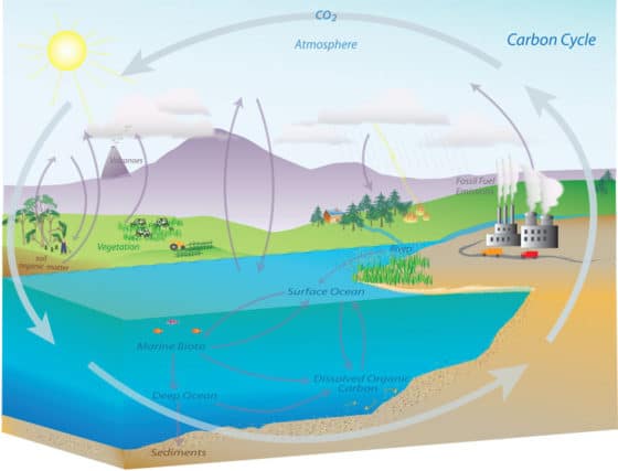 Source: NOAA Earth System Research Laboratory Carbon Cycle