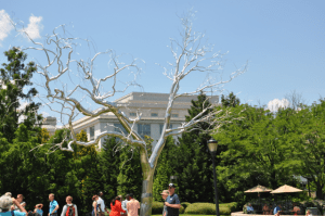 Shiny tree sculpture on sunny day in DC