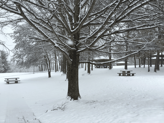I-81 rest area near Greenville Tennessee Feb  12, 2016
